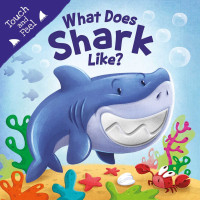 Image of What does shark like ?